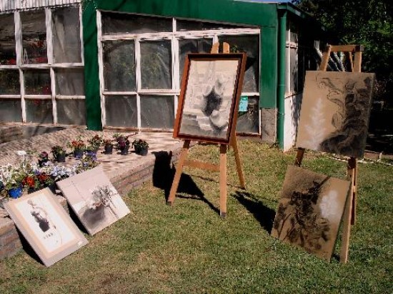 El ltimo trabajo de estos artistas fue en un vivero de la ciudad. Ya visitaron ms de diecisis locales neuquinos. 