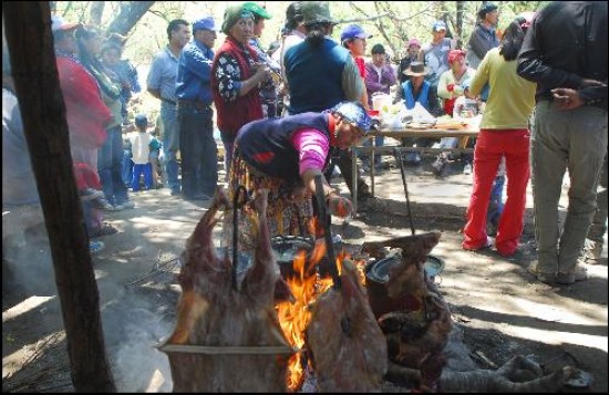 Los mapuches y un reclamo histrico sobre la propiedad. 