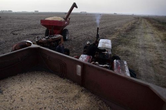 Los productores de soja an no vendieron toda la cosecha, lo que golpe los ingresos fiscales. 