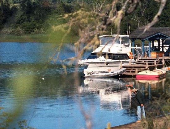 Los vecinos de Lago Moreno tambin buscan que se traten los residuos forestales. 