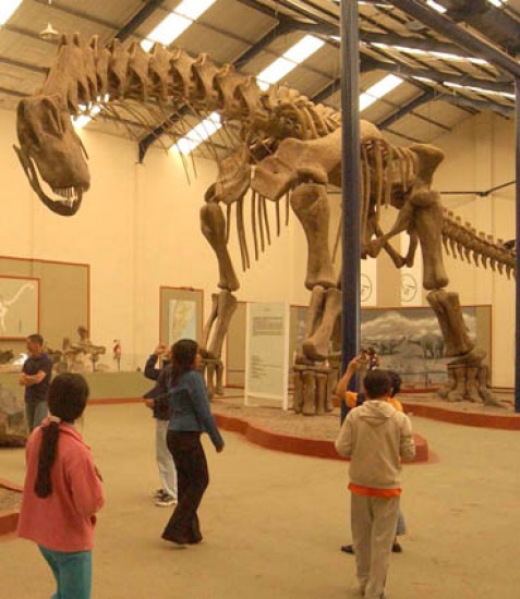 Argentinosaurus, el ms grande. 
