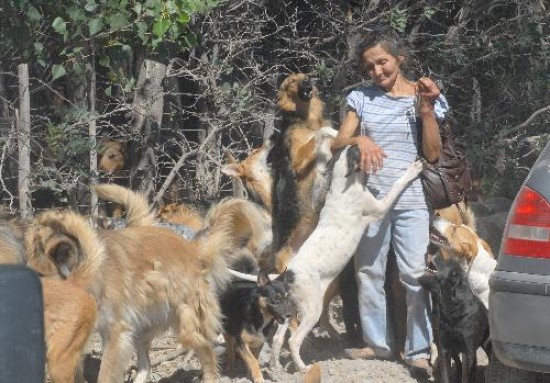 Estela Villafae junto a sus mascotas. Lleva diez aos sosteniendo el refugio. 