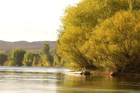 Responsables de ARSA explicaron que el agua recibe el tratamiento adecuado para el consumo. 