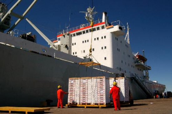 Las exportaciones frutcolas que se registren de ahora en ms, pagarn menos retenciones. 