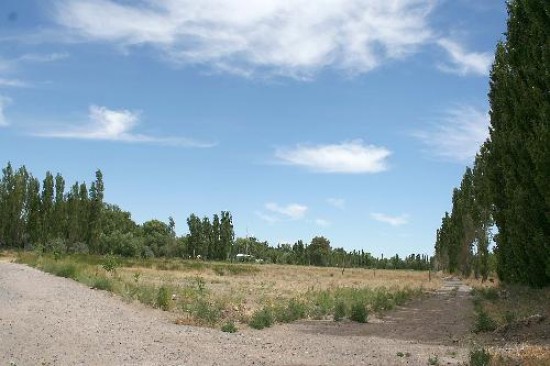 El parcelamiento abarca 170 terrenos que estn ubicados en cercanas de predios en produccin en Villa Obrera. 