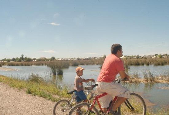 Aseguran que el ecosistema del espejo de agua del barrio del oeste de la capital neuquina no corre riesgos. 