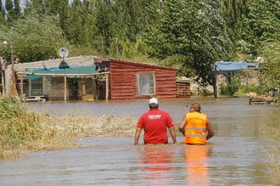 El agua afect las viviendas. Hubo problemas con aves de corral y con cerdos que buscaron refugio en lugares secos. 