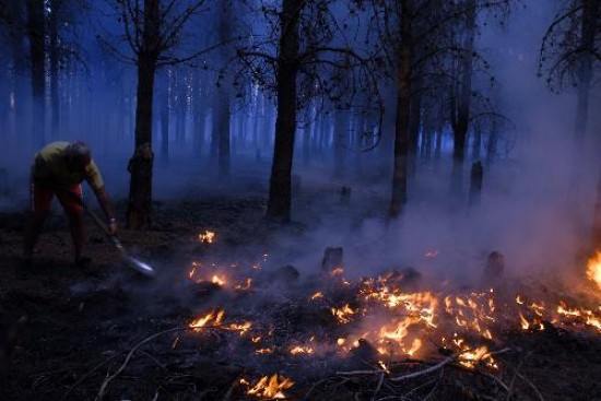 El incendio cobr mucha fuerza al alcanzar los pinares de la estancia El Cndor. 