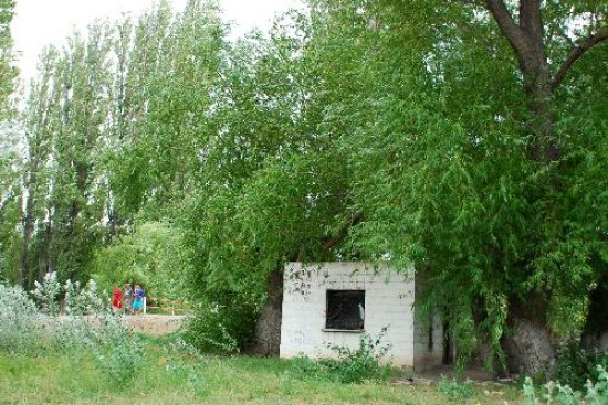 Los jvenes se haban reunido en el camping durante la madrugada. Luego sucedi lo impensado con la jovencita de 17 aos. 