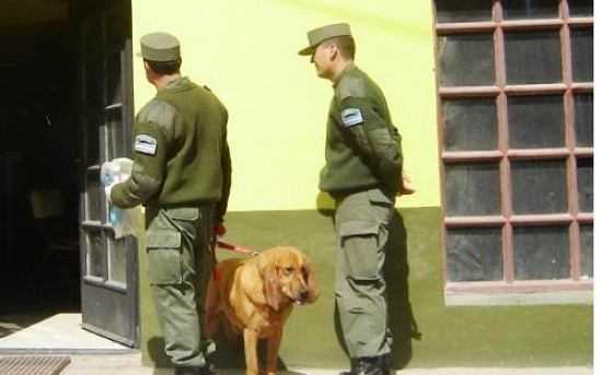 El allanamiento se produjo en la casa del detenido Jorge Correa. Lo secuestrado ser sometido a pericias. 