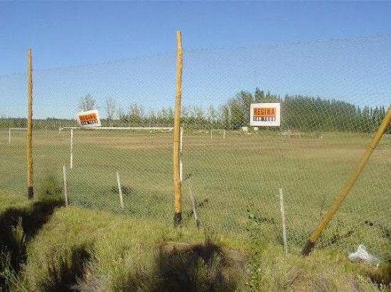 Los productores reginenses ya tienen el lugar donde las instalaran. 