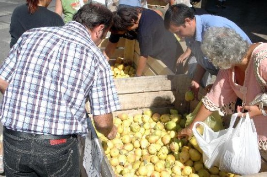Miles de kilos de peras fueron directo del productor a los consumidores. Es la fruta que no se vendi por el conflicto. 