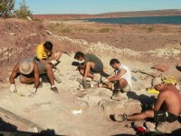 Los especialistas de distintos pases durante los trabajos que le siguieron al hallazgo del dinosaurio. 