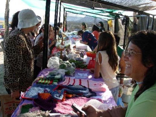 Los productores llevaron sus ofertas a la vera de la Ruta 40. 