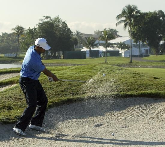 Tiger Woods le dar un respiro a la alicada economa del golf. 