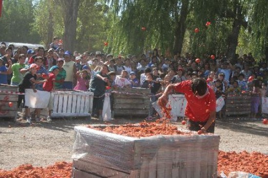 Los tomates 