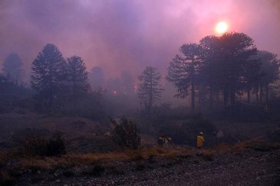 A causa del fuego interrumpieron el trnsito desde y hacia Chile. 