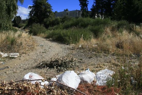 Quedar atrs esta ominosa imagen? El predio del futuro jardn tiene unas 14 hectreas, por aos muy descuidadas. 