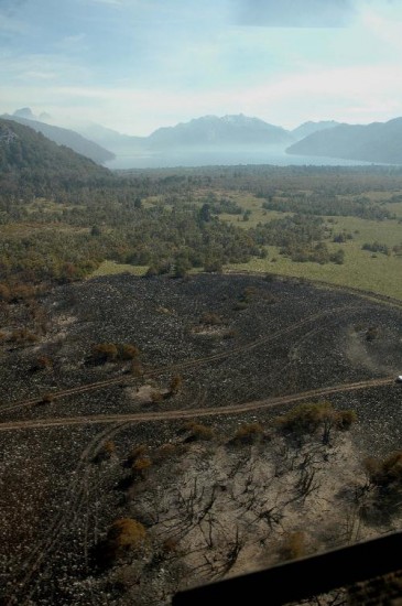 Desde el aire, una porcin del rea quemada y, al fondo, el lago Tromen. 