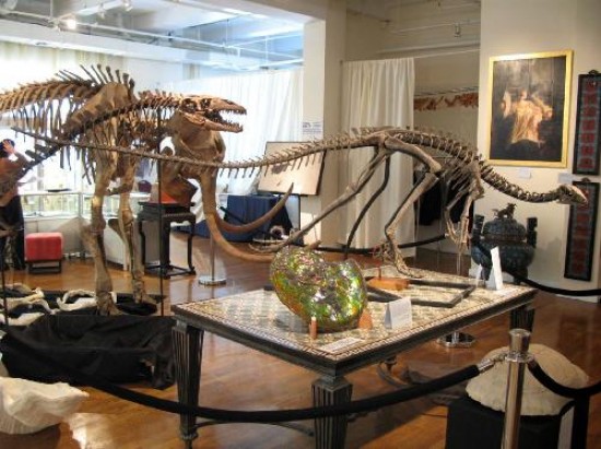 El esqueleto del Dryosaurus mide 2,8 metros y es apenas uno de los dos que hay en el mundo. 