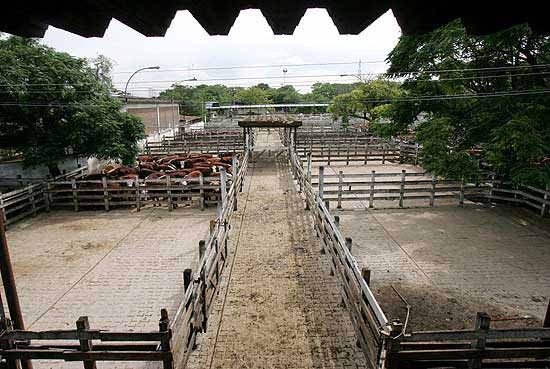 Solamente ingresaron 200 cabezas de ganado al mercado de Liniers.