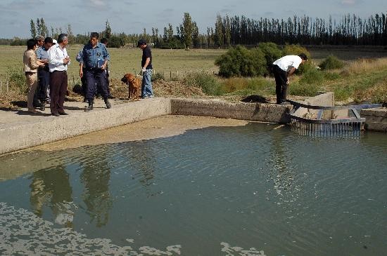 El hallazgo se produjo en una compuerta del canal 19 del camino 1. 