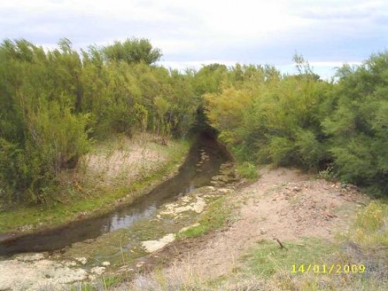 El arroyo de Covunco Abajo trae poca agua, muchas veces contaminada. 