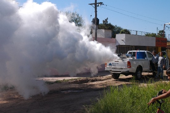 La fumigacin se extiende por todo el pas. Ayer la ministra Ocaa y el jefe de Gabinete, Massa, encabezaron un operativo en Tigre. 