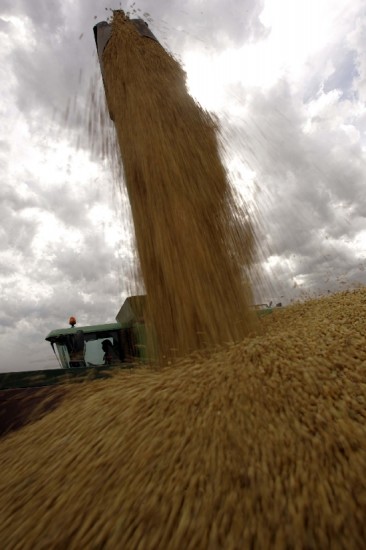 Alertan sobre que el prximo ao continuar la cada de la produccin agropecuaria. 