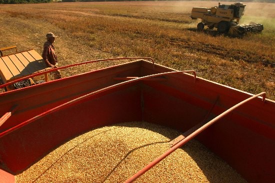 Las ventas de granos, oleaginosas y cereales sern vigiladas de cerca por el Ejecutivo. 