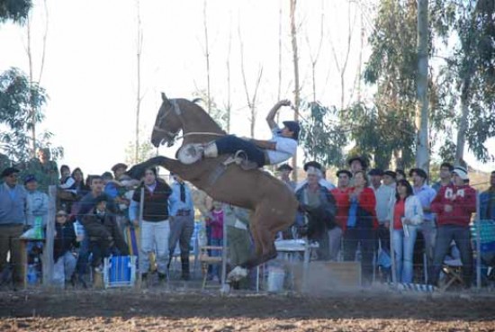 Los jinetes acaparon la atencin del pblico que participo. Fotos de Daniel Agostinelli (agencia Valle Medio).