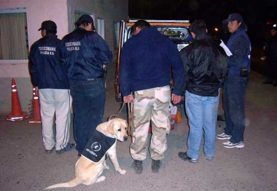 La labor de los canes fue fundamental. (Foto pablo Accinelli)