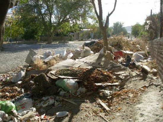 Los vecinos de la ciudad del norte neuquino arrojan todo tipo de desperdicios en arterias ubicadas a pocos metros del centro. 