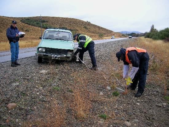 Anlisis en el hospital confirmaron que el conductor del R 12 estaba ebrio. 