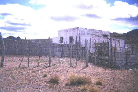 El matadero no se encuentra en condiciones de recibir animales para faenar. 