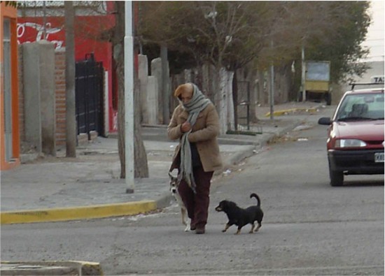 En algunas localidades de la Lnea Sur se registraron temperaturas de 12 grados bajo cero.