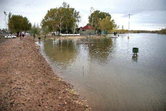 Los altos niveles del Limay provocan anegamientos en la Confluencia, Senillosa y Plottier. 