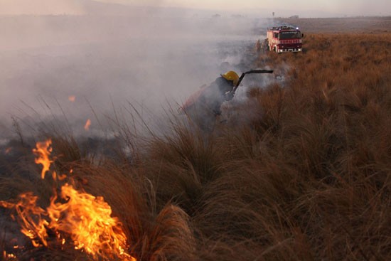 Casi 200 hombre batallan con las llamas que siguen su rumbo sin control. (FOTO: DYN)