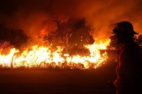 Pastizales, rboles y viviendas fueron arrasadas por el fuego. Unos 120 bomberos trabajaron en el lugar. 