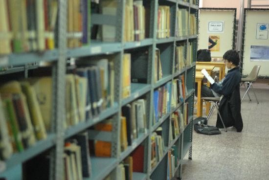 Chicos y grandes pueden disfrutar de la lectura e internet. 