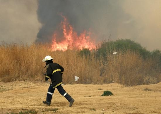 Las llamas les han provocado adems quemaduras a tres bomberos. 