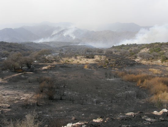 Los incendios arrasaron con miles de hectreas en la provincia y dejaron tres muertos. (FOTO DYN)