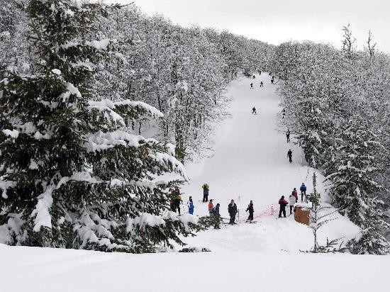 Las pistas para principiantes del Winter Park permiten un aprendizaje rpido y seguro. Los residentes cuentan con un descuento del 20%. 