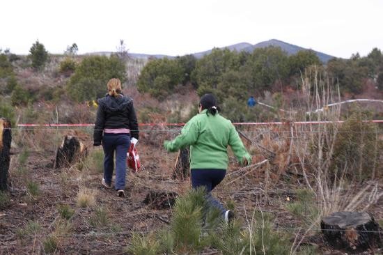 La municipalidad de Bariloche comenz con el relevamiento de familias que ocuparon las tierras del IPPV. 