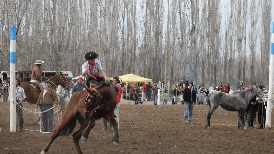 El hasta ahora exitoso festival regional de jineteada aspira a tener carácter nacional. 