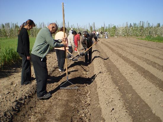 En el departamento Confluencia los productores se dedican al cultivo de hortalizas. En el norte, al ganado caprino. 