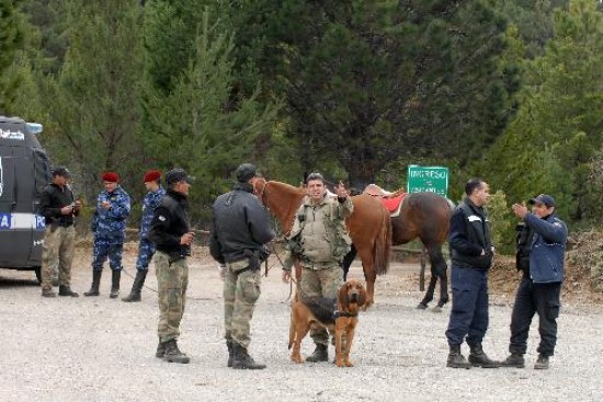 La bsqueda de rastros fue complicada para la divisin Canes de la Polica. 