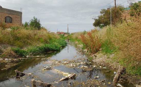 El arroyo es un viejo brazo del ro Limay que, producto de la urbanizacin, qued convertido en un desage. 