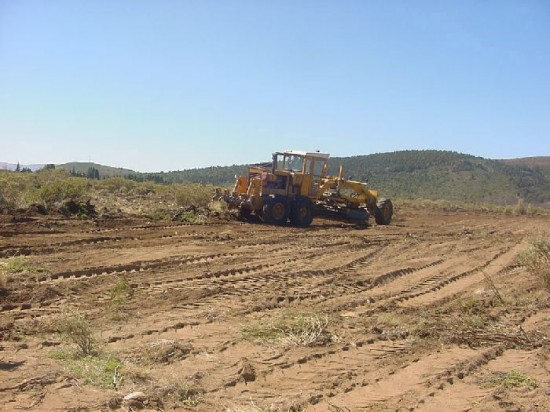 Organizaciones sociales piden que la comercializacin de las tierras destinadas al plan no condicione las futuras adjudicaciones. 