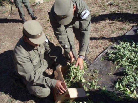 El procedimiento policial se inici por un robo de materiales. 